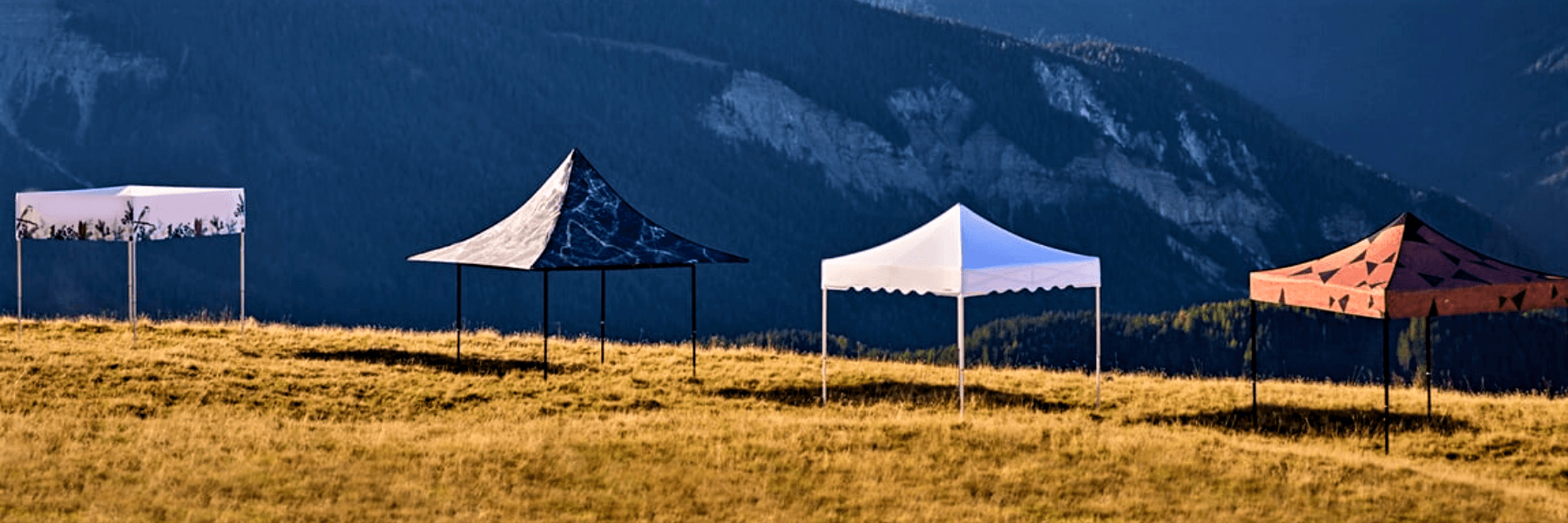 Outdoor showroom of Folding Tent Range including Cube Gazebo